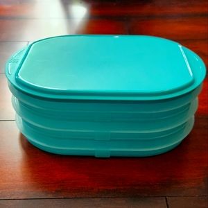Tupperware Cold Cut Deli Meat Keeper